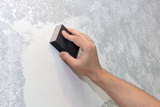Best Environmental Consulting for Mold Prevention  in Old Town, ME