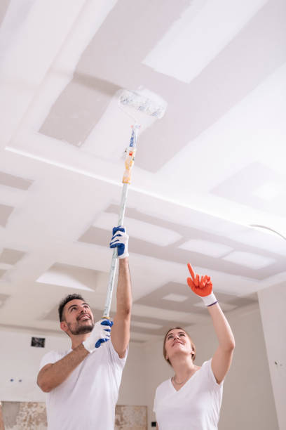 Best Basement Mold Removal  in Old Town, ME