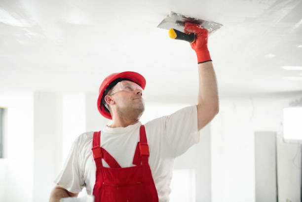 Best Post-Construction Mold Inspection  in Old Town, ME