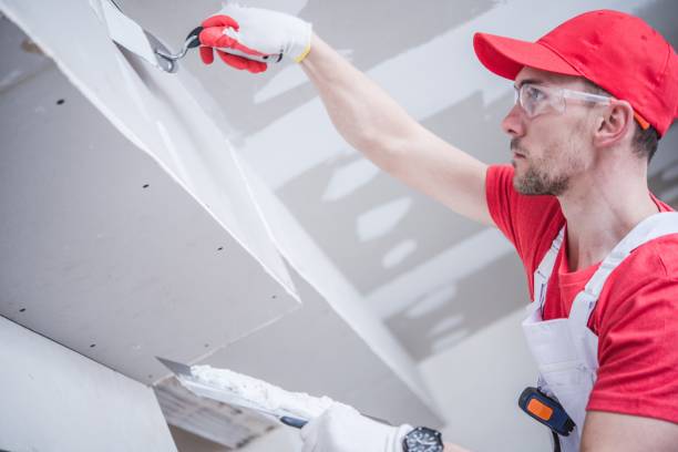 Best Water Damage & Mold Remediation  in Old Town, ME