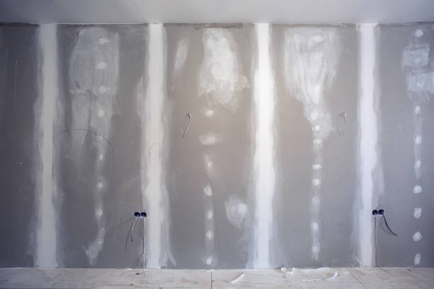 Best Airborne Mold Testing  in Old Town, ME